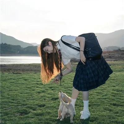 蚊魔